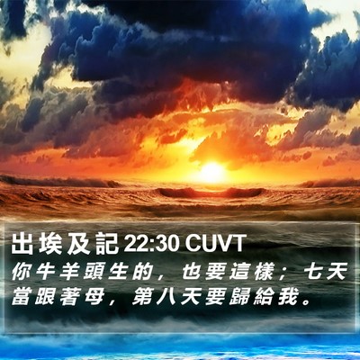 出 埃 及 記 22:30 CUVT Bible Verse Image