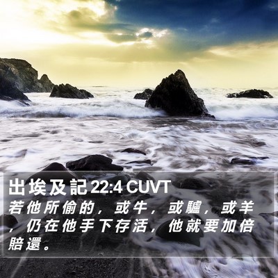 出 埃 及 記 22:4 CUVT Bible Verse Image