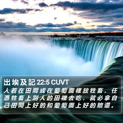 出 埃 及 記 22:5 CUVT Bible Verse Image