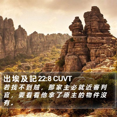 出 埃 及 記 22:8 CUVT Bible Verse Image