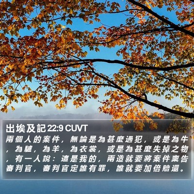 出 埃 及 記 22:9 CUVT Bible Verse Image