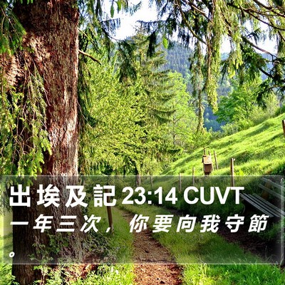 出 埃 及 記 23:14 CUVT Bible Verse Image