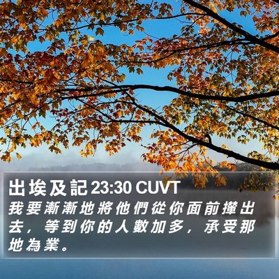 出 埃 及 記 23:30 CUVT Bible Verse Image