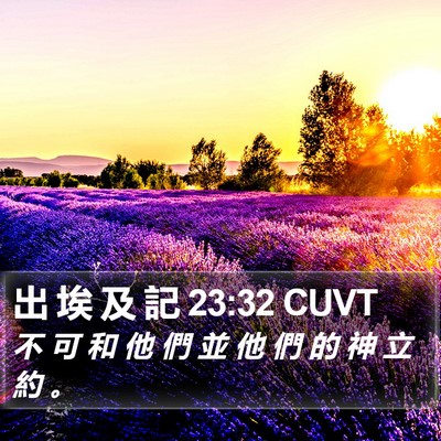 出 埃 及 記 23:32 CUVT Bible Verse Image