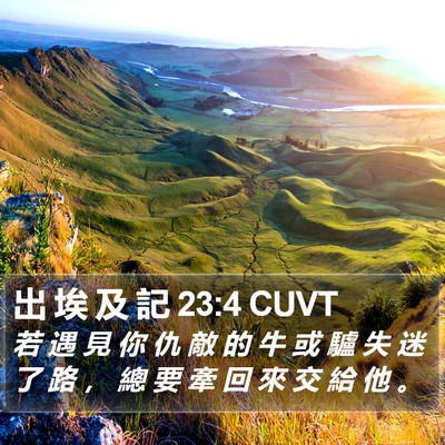 出 埃 及 記 23:4 CUVT Bible Verse Image