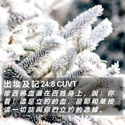 出 埃 及 記 24:8 CUVT Bible Verse Image