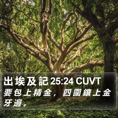 出 埃 及 記 25:24 CUVT Bible Verse Image