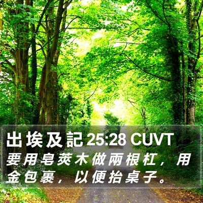 出 埃 及 記 25:28 CUVT Bible Verse Image