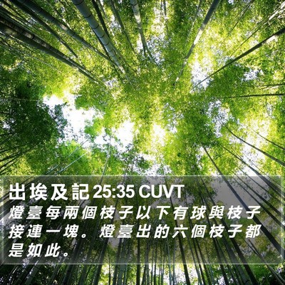 出 埃 及 記 25:35 CUVT Bible Verse Image