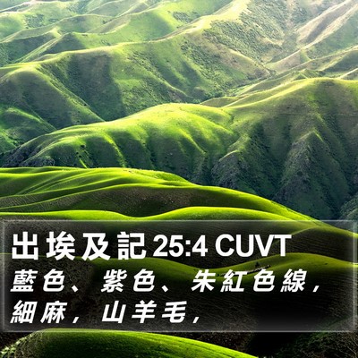 出 埃 及 記 25:4 CUVT Bible Verse Image