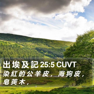出 埃 及 記 25:5 CUVT Bible Verse Image