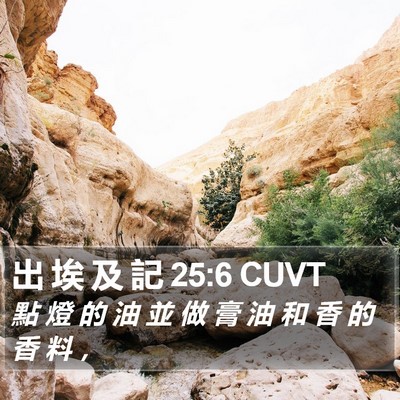 出 埃 及 記 25:6 CUVT Bible Verse Image