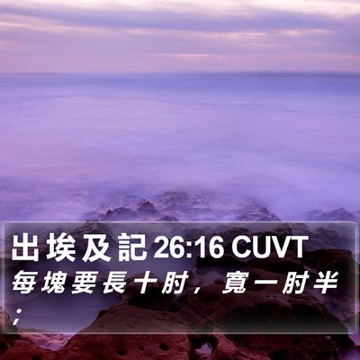 出 埃 及 記 26:16 CUVT Bible Verse Image