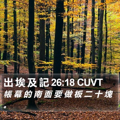 出 埃 及 記 26:18 CUVT Bible Verse Image