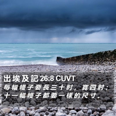 出 埃 及 記 26:8 CUVT Bible Verse Image