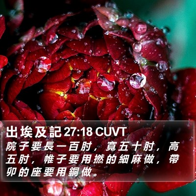 出 埃 及 記 27:18 CUVT Bible Verse Image