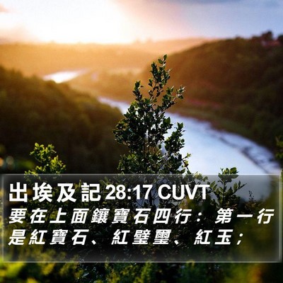出 埃 及 記 28:17 CUVT Bible Verse Image