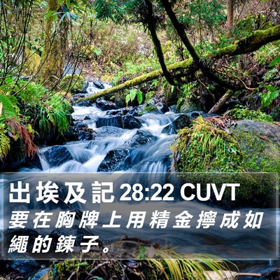 出 埃 及 記 28:22 CUVT Bible Verse Image