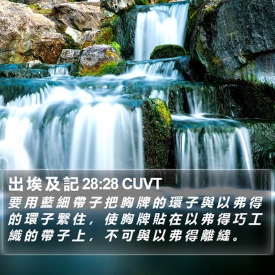 出 埃 及 記 28:28 CUVT Bible Verse Image