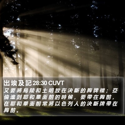 出 埃 及 記 28:30 CUVT Bible Verse Image