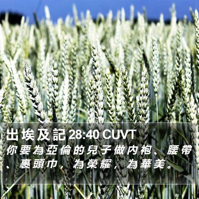 出 埃 及 記 28:40 CUVT Bible Verse Image