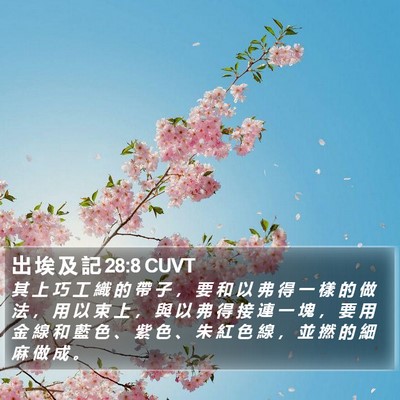 出 埃 及 記 28:8 CUVT Bible Verse Image