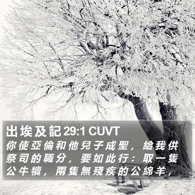 出 埃 及 記 29:1 CUVT Bible Verse Image