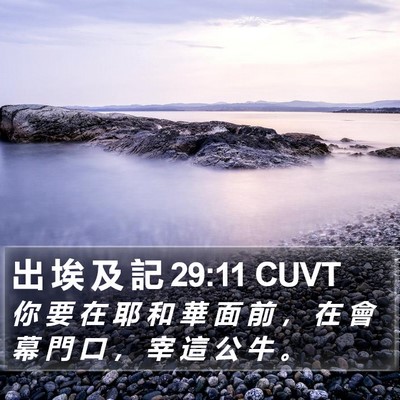 出 埃 及 記 29:11 CUVT Bible Verse Image