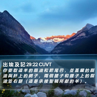 出 埃 及 記 29:22 CUVT Bible Verse Image