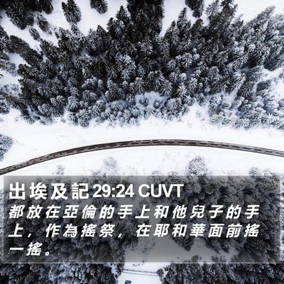 出 埃 及 記 29:24 CUVT Bible Verse Image