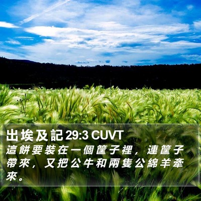 出 埃 及 記 29:3 CUVT Bible Verse Image