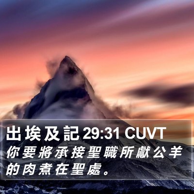 出 埃 及 記 29:31 CUVT Bible Verse Image
