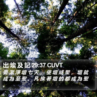 出 埃 及 記 29:37 CUVT Bible Verse Image
