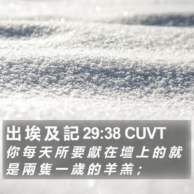 出 埃 及 記 29:38 CUVT Bible Verse Image