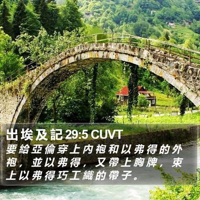 出 埃 及 記 29:5 CUVT Bible Verse Image