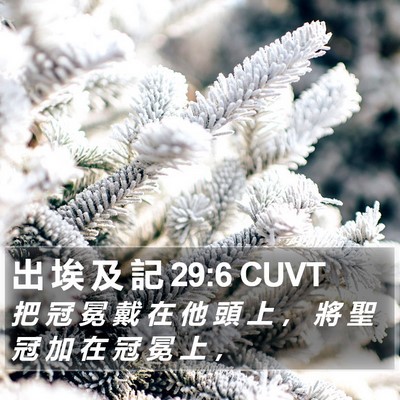 出 埃 及 記 29:6 CUVT Bible Verse Image