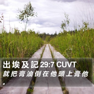 出 埃 及 記 29:7 CUVT Bible Verse Image