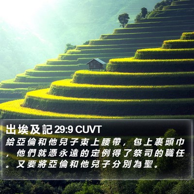 出 埃 及 記 29:9 CUVT Bible Verse Image