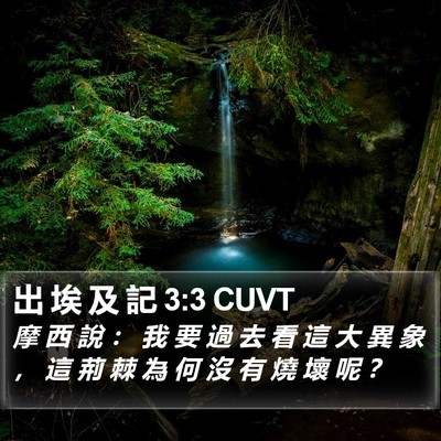 出 埃 及 記 3:3 CUVT Bible Verse Image