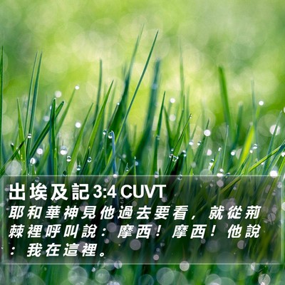 出 埃 及 記 3:4 CUVT Bible Verse Image