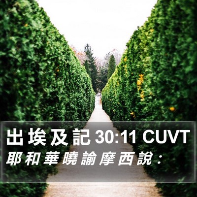 出 埃 及 記 30:11 CUVT Bible Verse Image