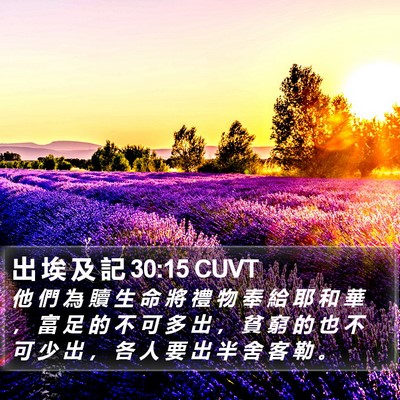 出 埃 及 記 30:15 CUVT Bible Verse Image