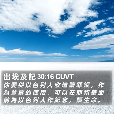 出 埃 及 記 30:16 CUVT Bible Verse Image