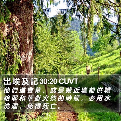 出 埃 及 記 30:20 CUVT Bible Verse Image