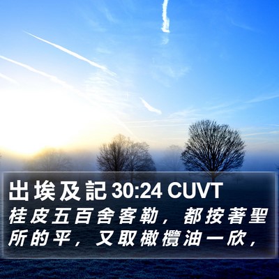 出 埃 及 記 30:24 CUVT Bible Verse Image