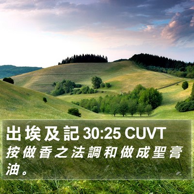 出 埃 及 記 30:25 CUVT Bible Verse Image
