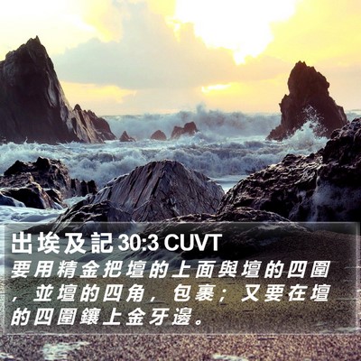 出 埃 及 記 30:3 CUVT Bible Verse Image