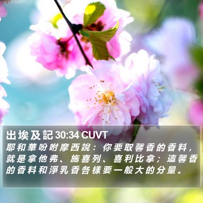 出 埃 及 記 30:34 CUVT Bible Verse Image