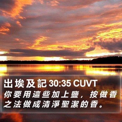 出 埃 及 記 30:35 CUVT Bible Verse Image