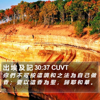 出 埃 及 記 30:37 CUVT Bible Verse Image